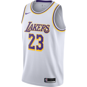 Buy Nike purple LA Lakers Lonzo Ball Swingman Jersey for Men in
