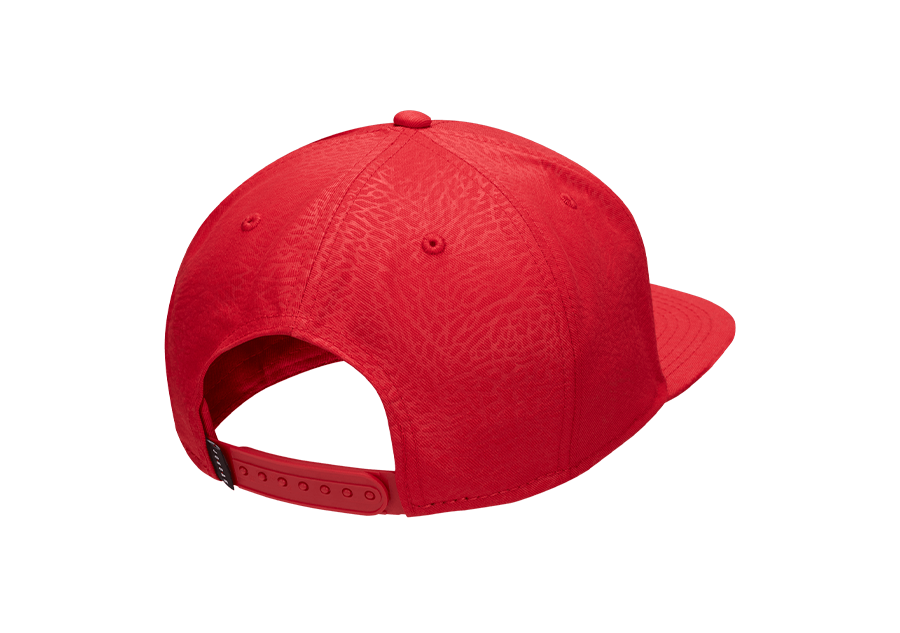 Jordan jumpman ele ingot cap online